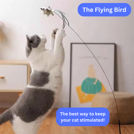 The Flying Bird